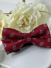 Burgundy Paisley Bow Tie