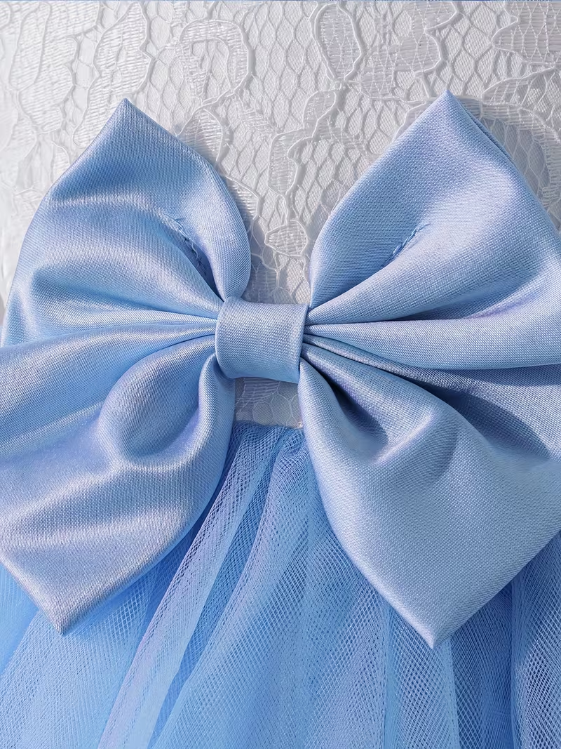 Sky Blue Princess Lace & Tulle Dress for Girls