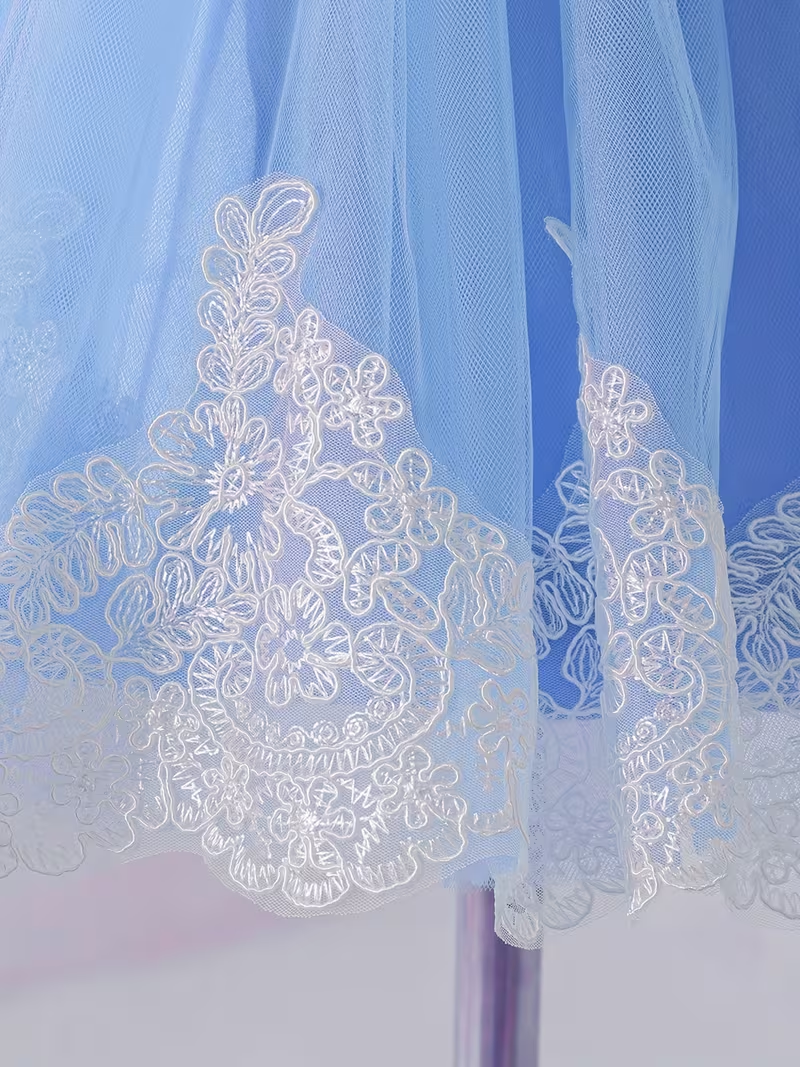Sky Blue Princess Lace & Tulle Dress for Girls