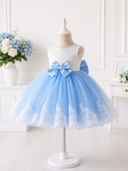 Sky Blue Princess Lace & Tulle Dress for Girls