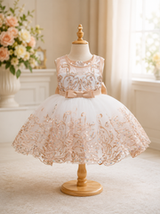 Champagne Luxury Lace Flower Girl Dress (2–3 Years)